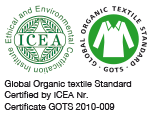 Logo ICEA